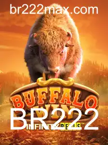 Descubra as Aventuras de BuffaloWin: O Jogo da Temporada