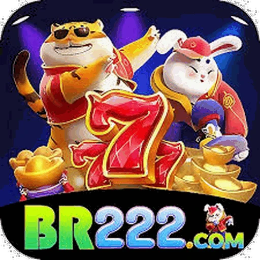 BR222 Logo